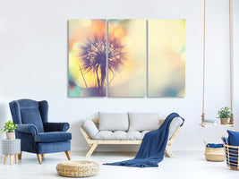 3-piece-canvas-print-the-dandelion-in-the-light