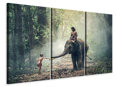3-piece-canvas-print-the-elephant-at-work