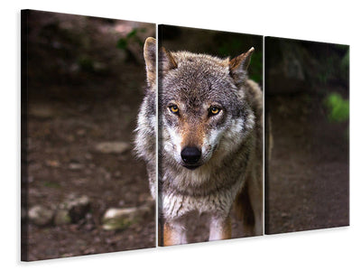 3-piece-canvas-print-the-evil-wolf