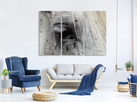 3-piece-canvas-print-the-eye-of-the-horse