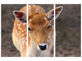 3-piece-canvas-print-the-fallow-deer