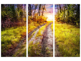 3-piece-canvas-print-the-forest-path