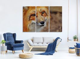 3-piece-canvas-print-the-fox