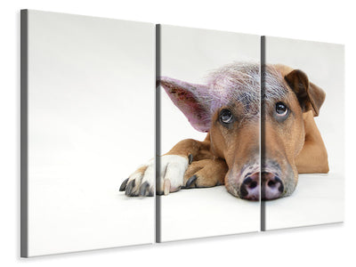 3-piece-canvas-print-the-funny-pig-dog