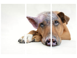 3-piece-canvas-print-the-funny-pig-dog