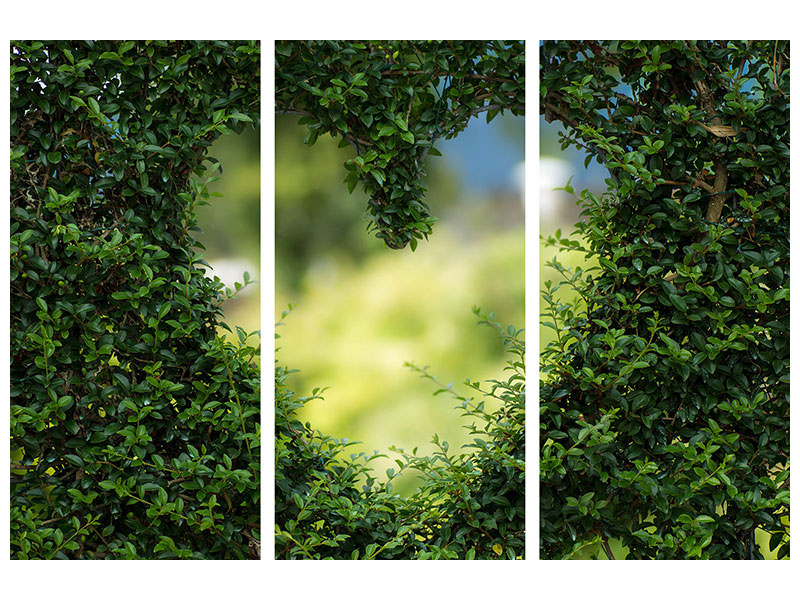 3-piece-canvas-print-the-heart-in-the-hedge