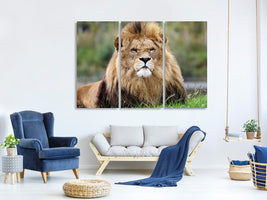 3-piece-canvas-print-the-king-of-animals
