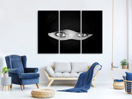 3-piece-canvas-print-the-language-of-the-eyes