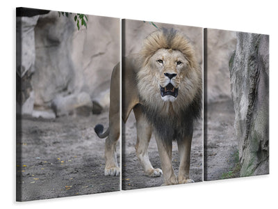 3-piece-canvas-print-the-lion-and-his-kingdom