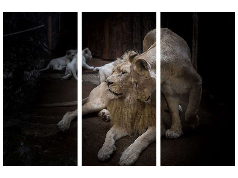 3-piece-canvas-print-the-lion-couple