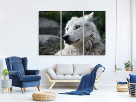 3-piece-canvas-print-the-lonely-wolf