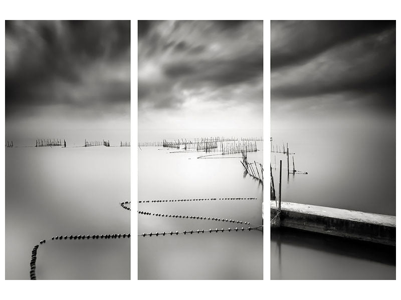 3-piece-canvas-print-the-netfish-iii