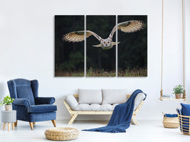 3-piece-canvas-print-the-owl