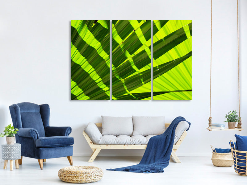 3-piece-canvas-print-the-palm-leaf-in-xl
