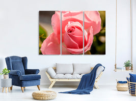 3-piece-canvas-print-the-rose-in-pink