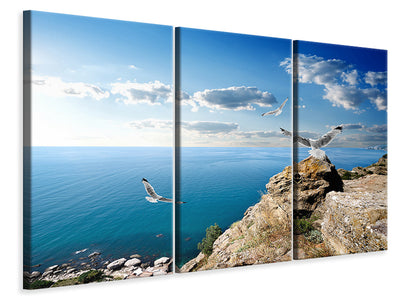 3-piece-canvas-print-the-seagulls-and-the-sea