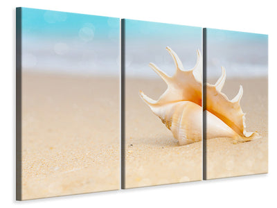 3-piece-canvas-print-the-shell-on-the-beach