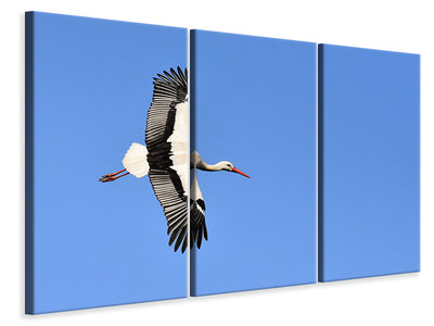3-piece-canvas-print-the-stork-in-action