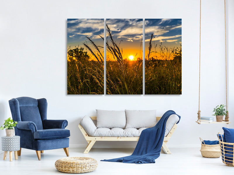 3-piece-canvas-print-the-sunset-on-the-field