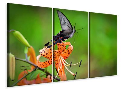 3-piece-canvas-print-the-tiger-lily-and-the-butterfly