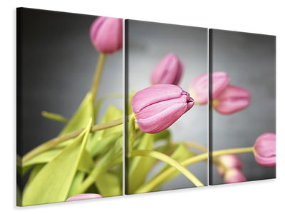 3-piece-canvas-print-the-tulip-bouquet-in-pink
