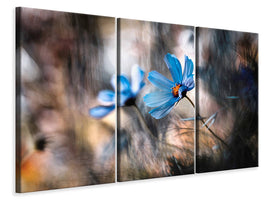 3-piece-canvas-print-the-two-of-us