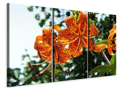3-piece-canvas-print-the-wild-tiger-lilies