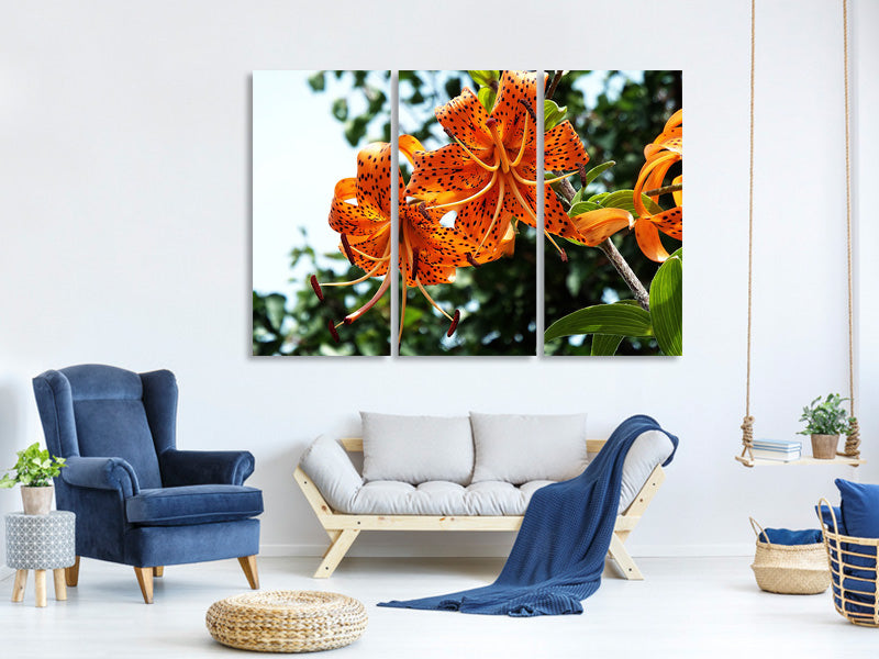 3-piece-canvas-print-the-wild-tiger-lilies