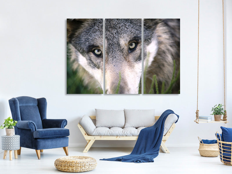 3-piece-canvas-print-the-wolf39s-look