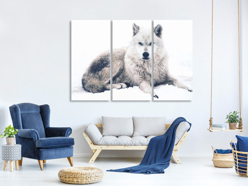 3-piece-canvas-print-the-wolf