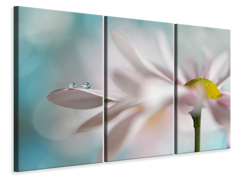 3-piece-canvas-print-tiny-duo