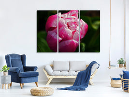 3-piece-canvas-print-tulip-with-morning-dew-in-xl