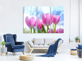 3-piece-canvas-print-tulips-in-nature