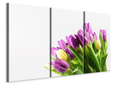 3-piece-canvas-print-tulips-in-xl