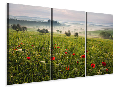 3-piece-canvas-print-tuscan-spring