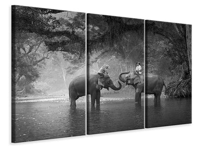 3-piece-canvas-print-two-elephants