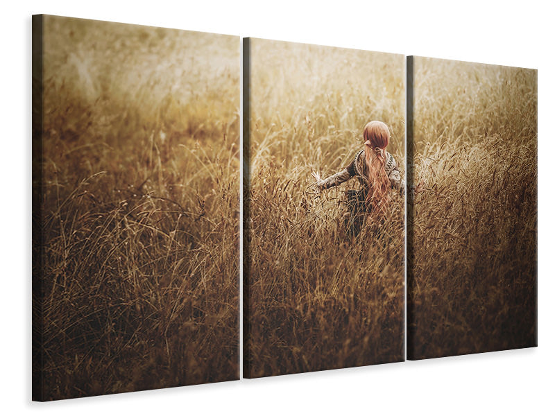 3-piece-canvas-print-untitled-xl