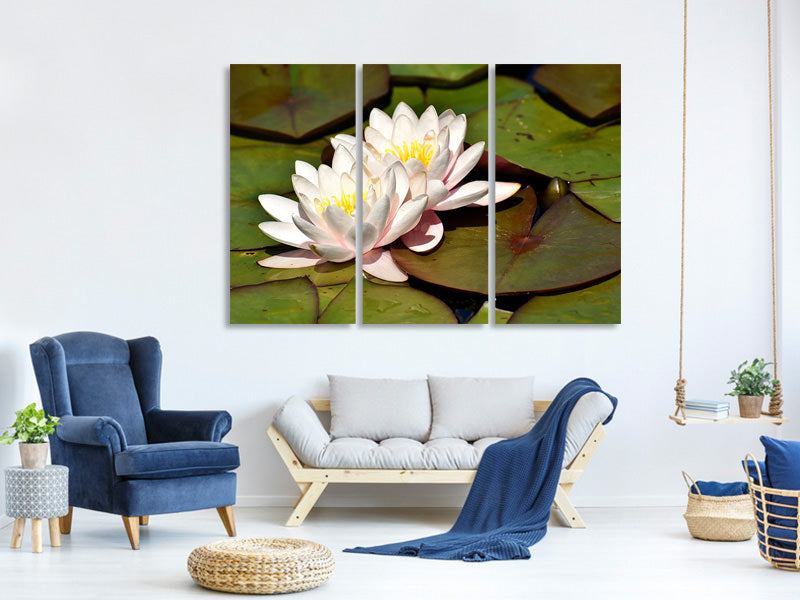 3-piece-canvas-print-water-lily-duo-in-white