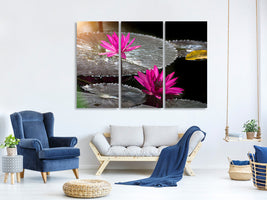3-piece-canvas-print-water-lily-in-the-morning-dew