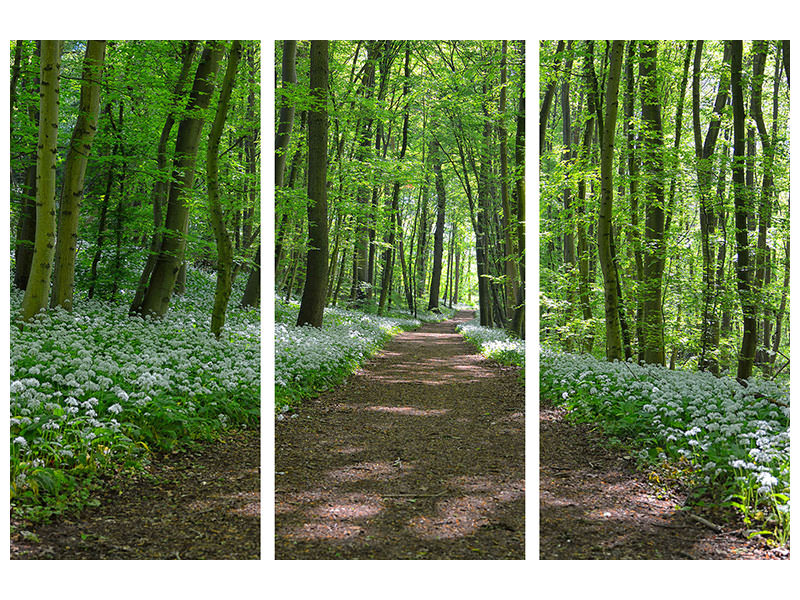 3-piece-canvas-print-we-love-the-summer-in-the-woods