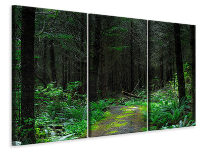 3-piece-canvas-print-wild-forest