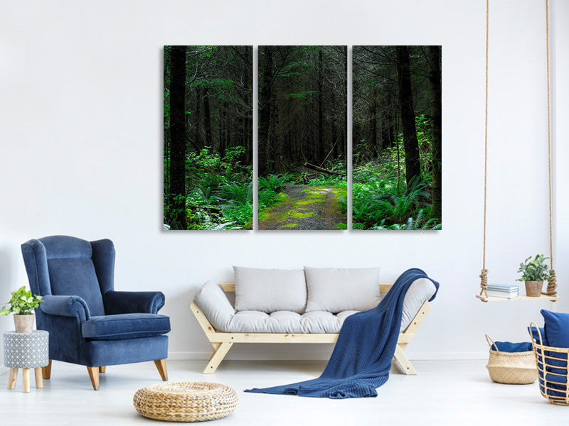 3-piece-canvas-print-wild-forest