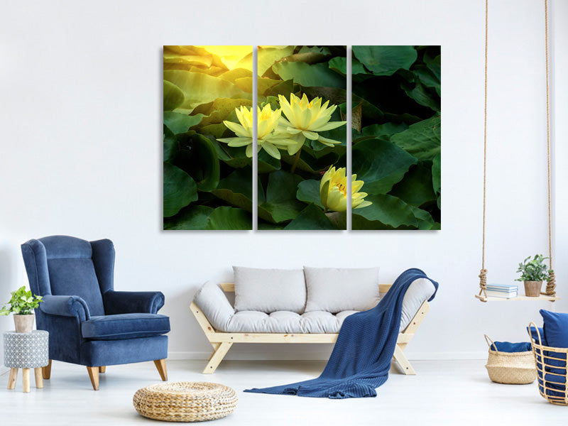 3-piece-canvas-print-wild-lotus