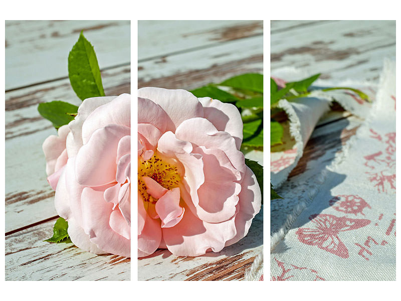 3-piece-canvas-print-wild-rose-in-pink