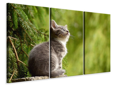 3-piece-canvas-print-wildcat