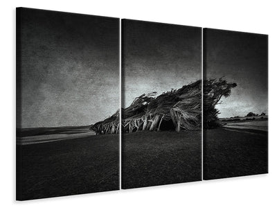 3-piece-canvas-print-wind-blown