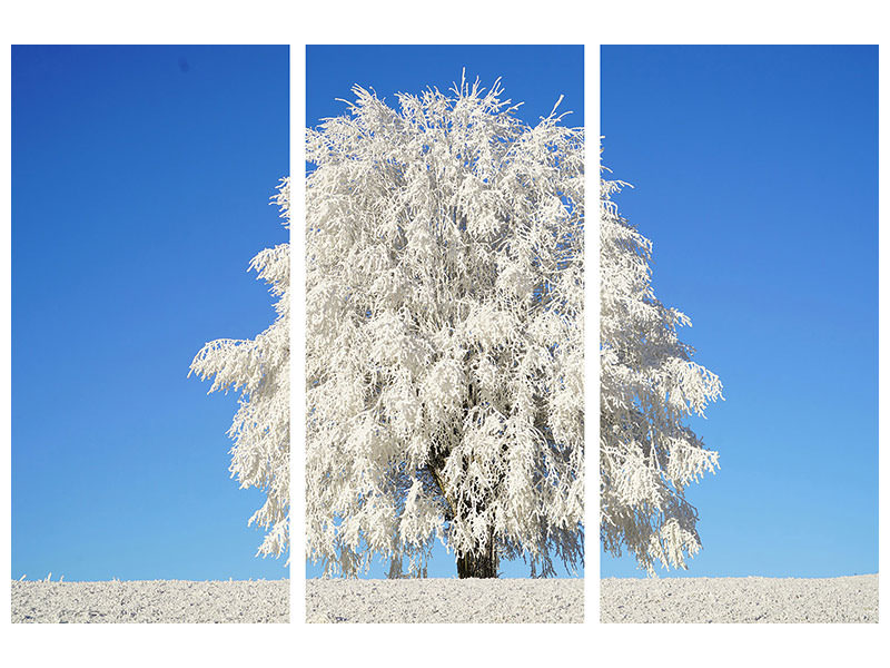3-piece-canvas-print-winter-tree