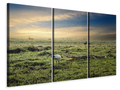 3-piece-canvas-print-world-without-humans