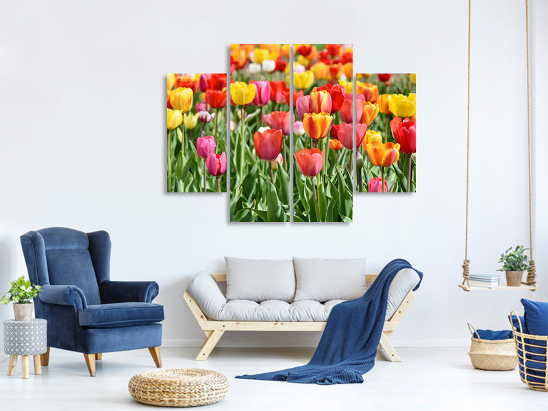 4-piece-canvas-print-a-colorful-tulip-field