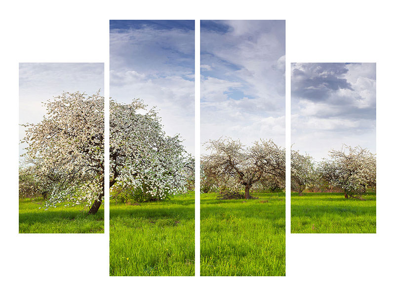 4-piece-canvas-print-apple-tree-garden